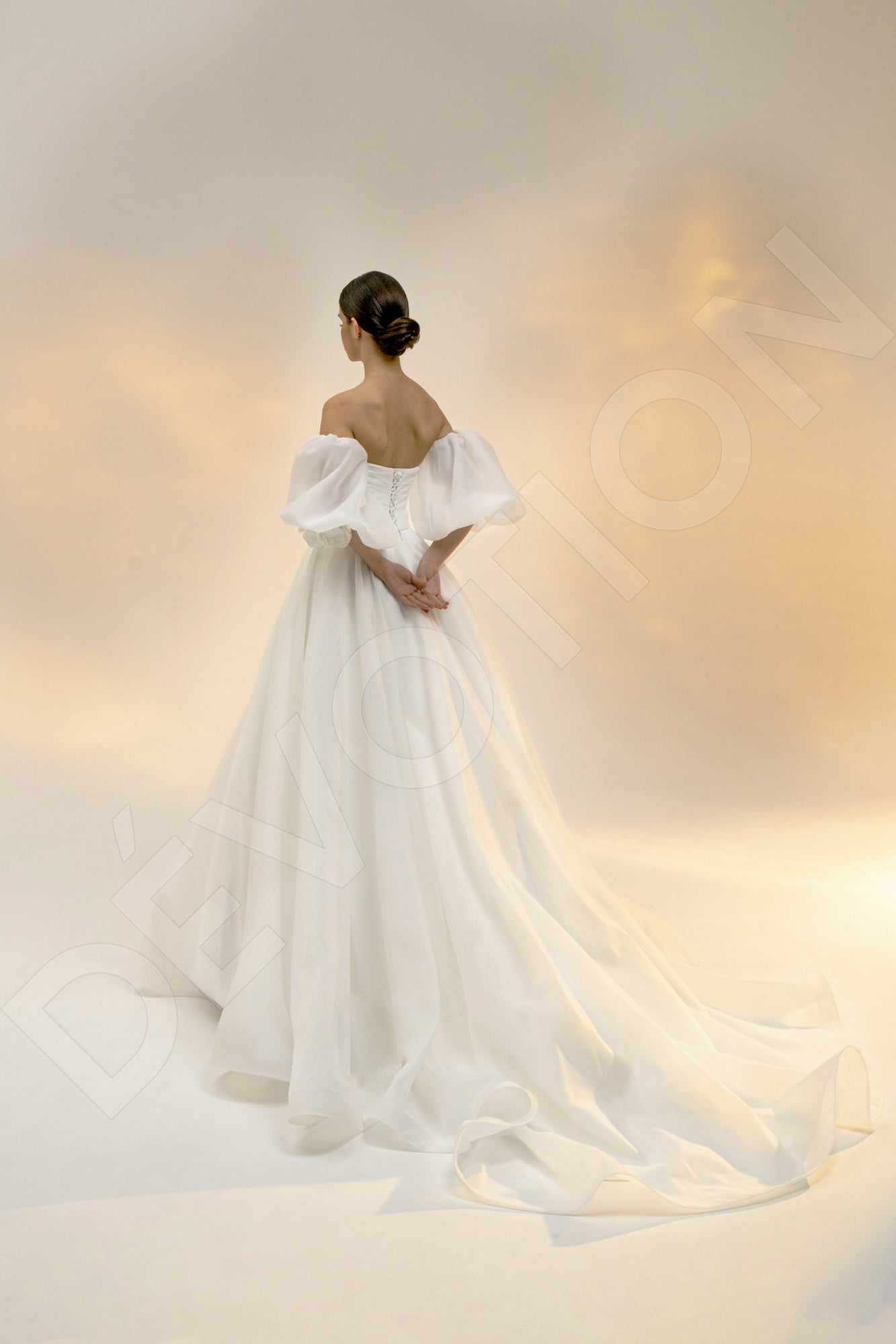 Ariala Princess/Ball Gown Straight Across Light Ivory Wedding dress