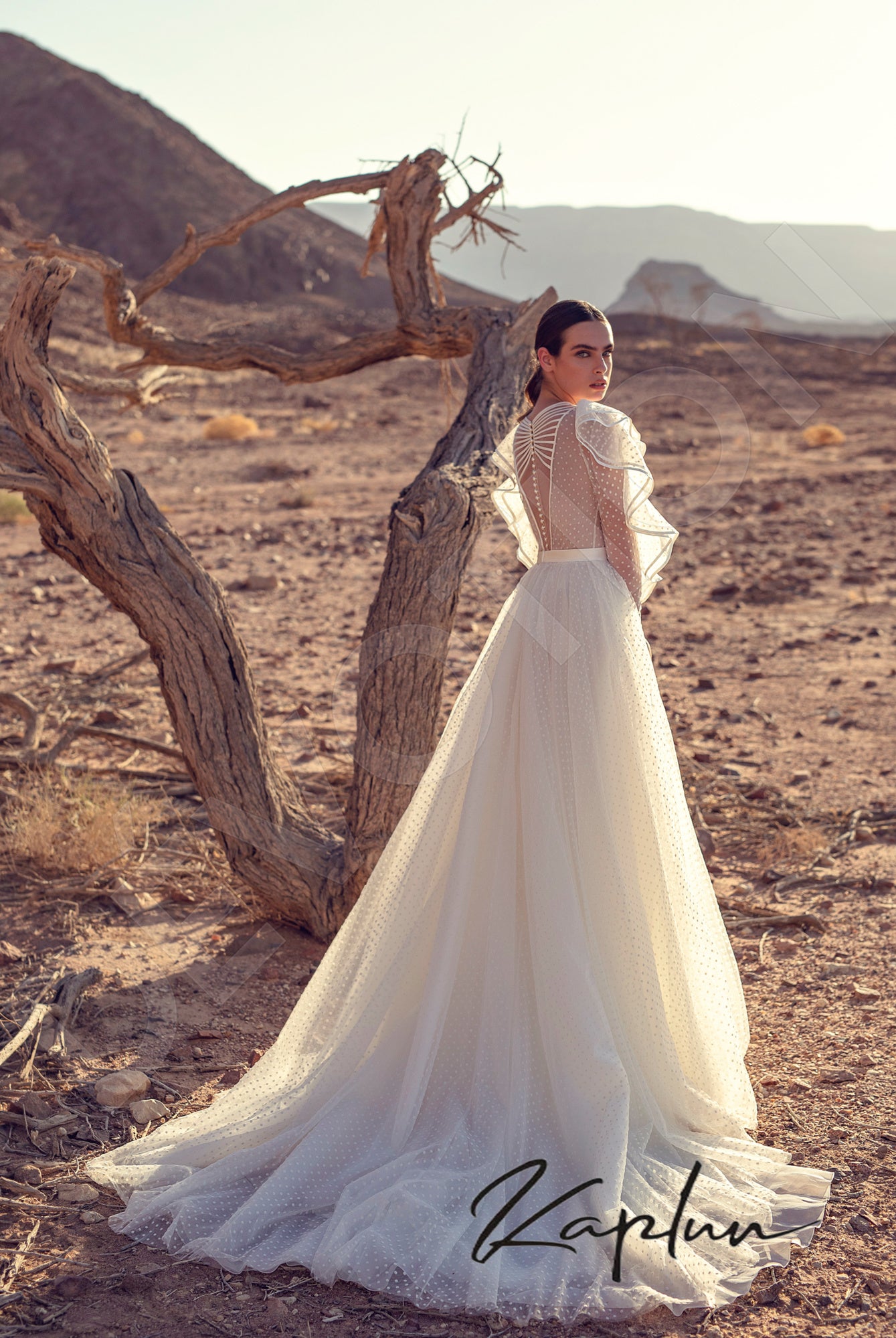 Avinar Full back A-line Long sleeve Wedding Dress Back