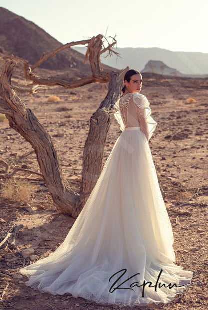 Avinar Full back A-line Long sleeve Wedding Dress Back