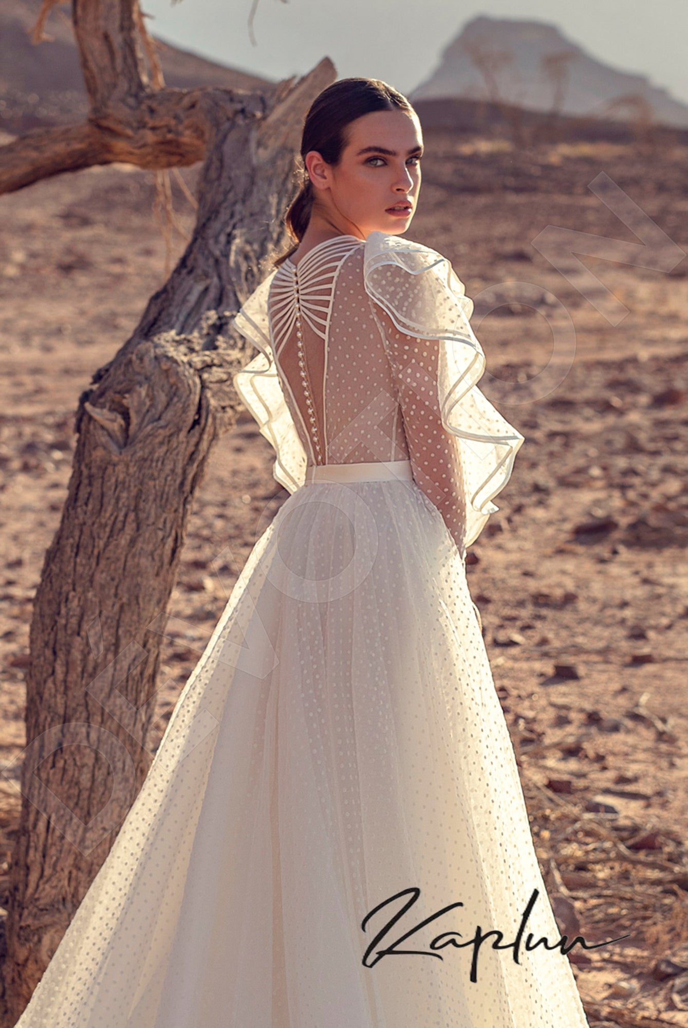 Avinar Full back A-line Long sleeve Wedding Dress 5