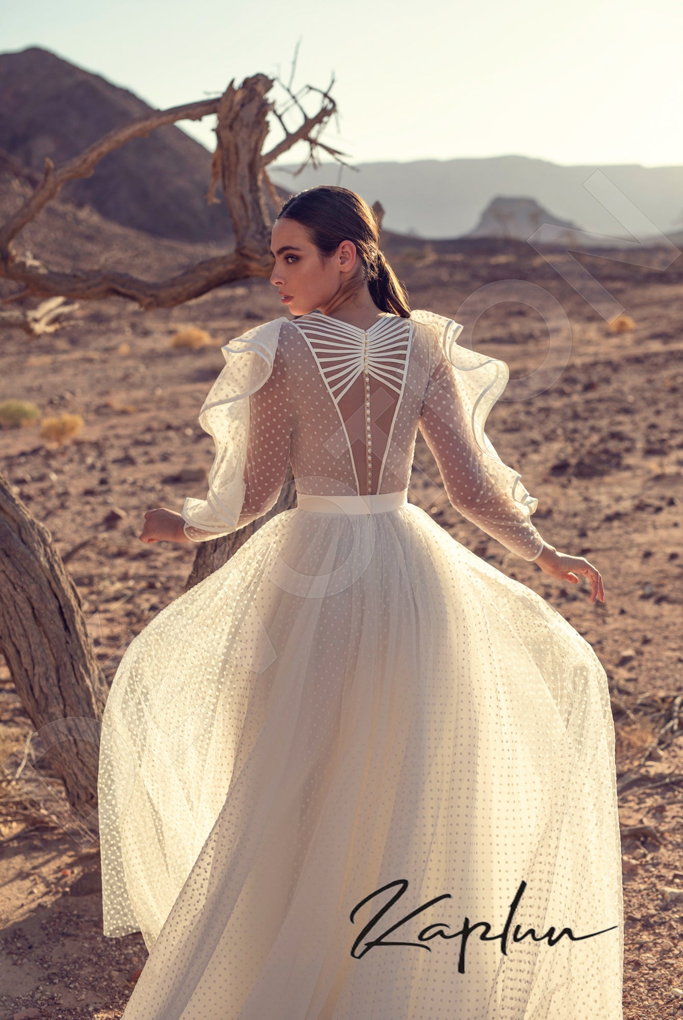 Avinar Full back A-line Long sleeve Wedding Dress 3