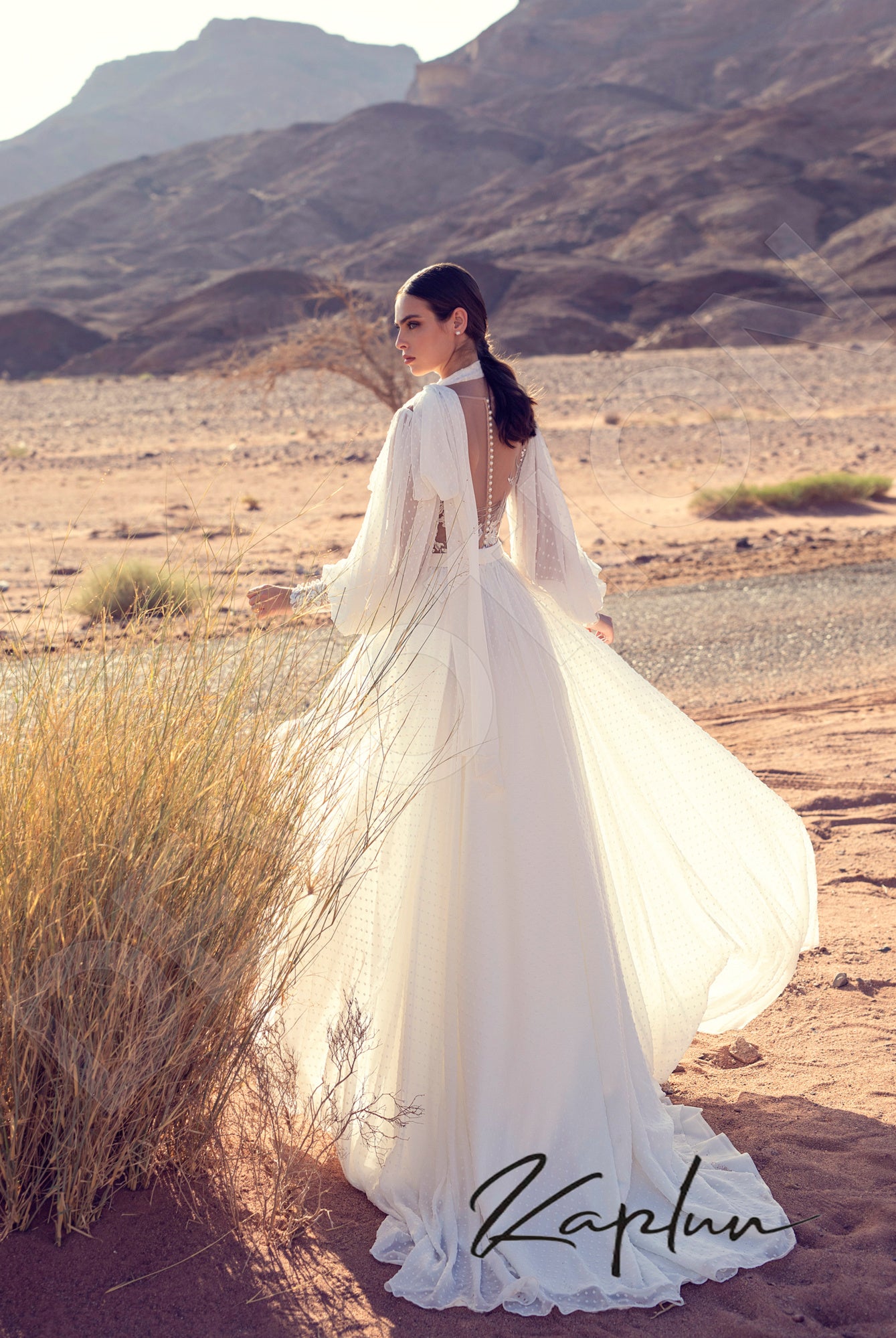 Santa-Lucia Full back A-line Long sleeve Wedding Dress Back