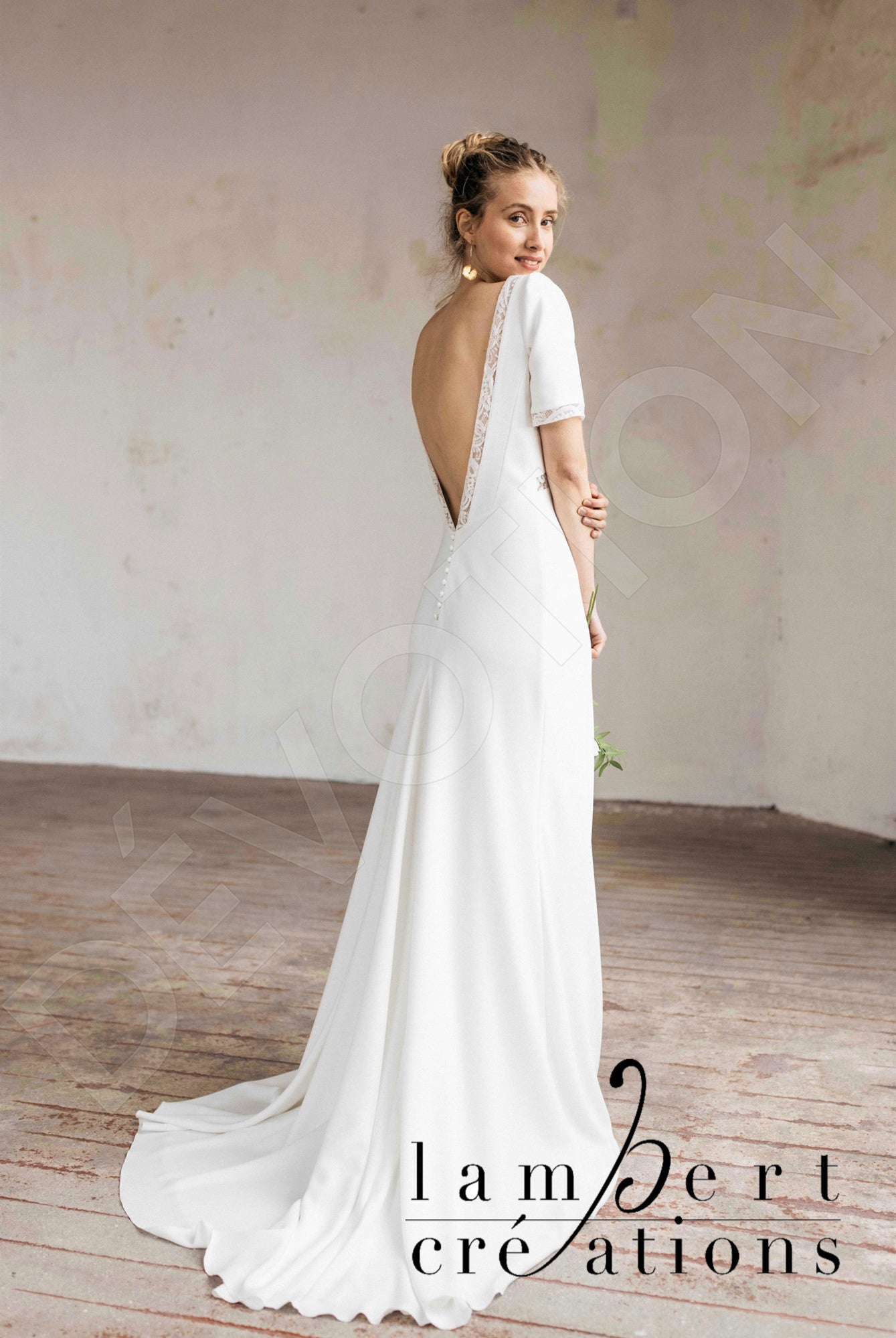 Sierra Open back A-line Short/ Cap sleeve Wedding Dress Back