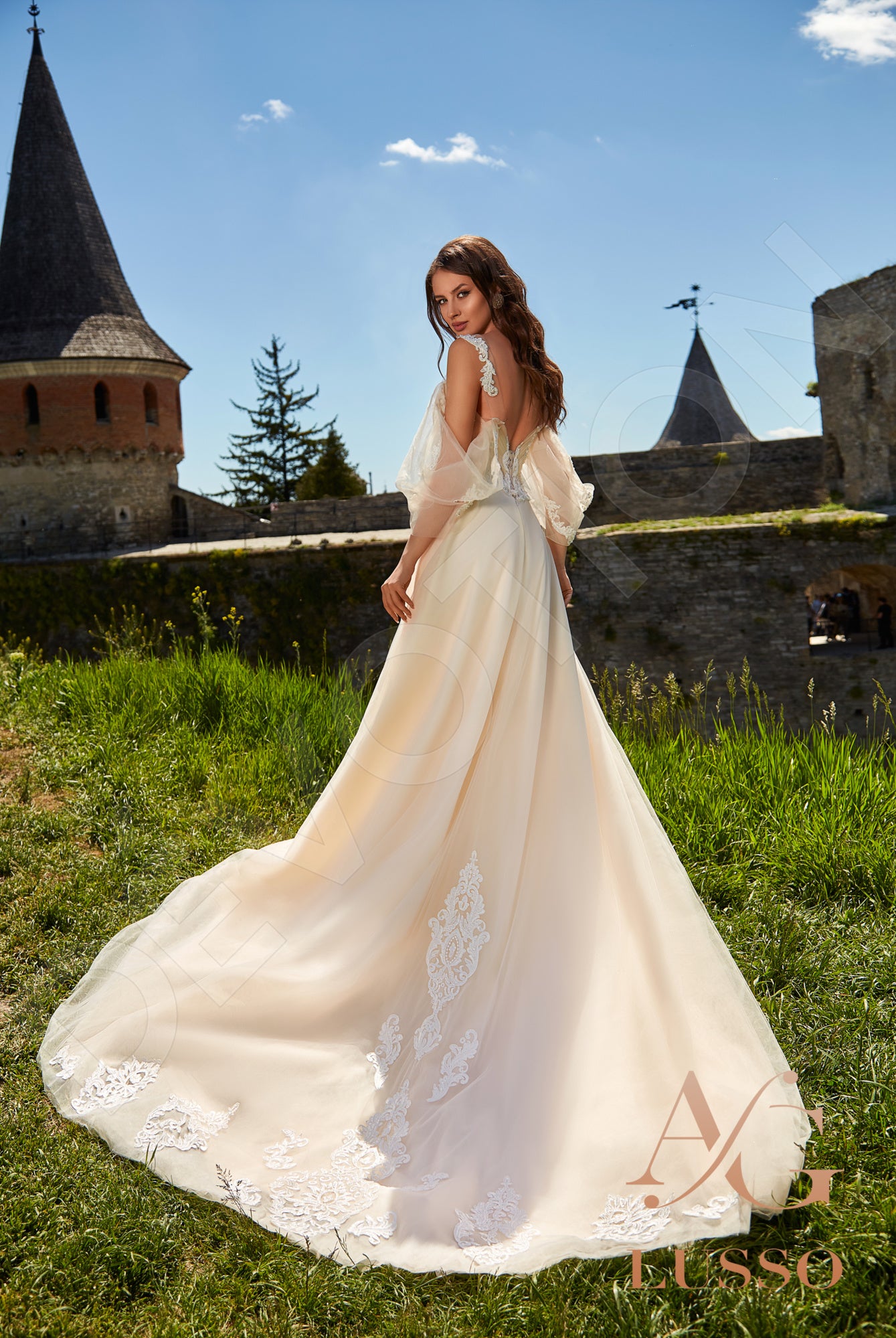 Faize Open back A-line Straps Wedding Dress Back