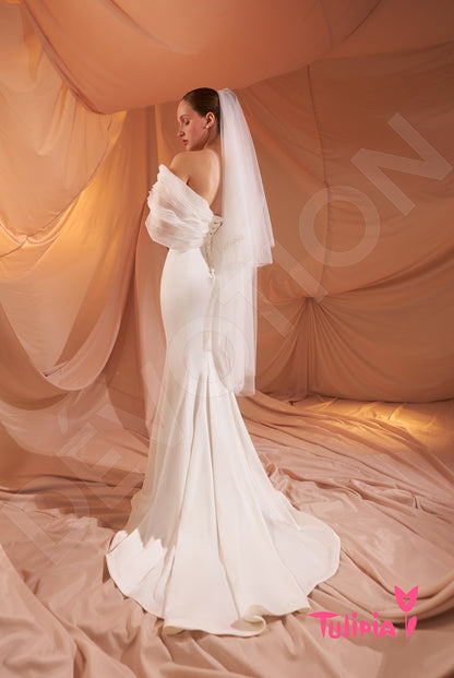 Allegra Open back Trumpet/Mermaid Strapless Wedding Dress Back