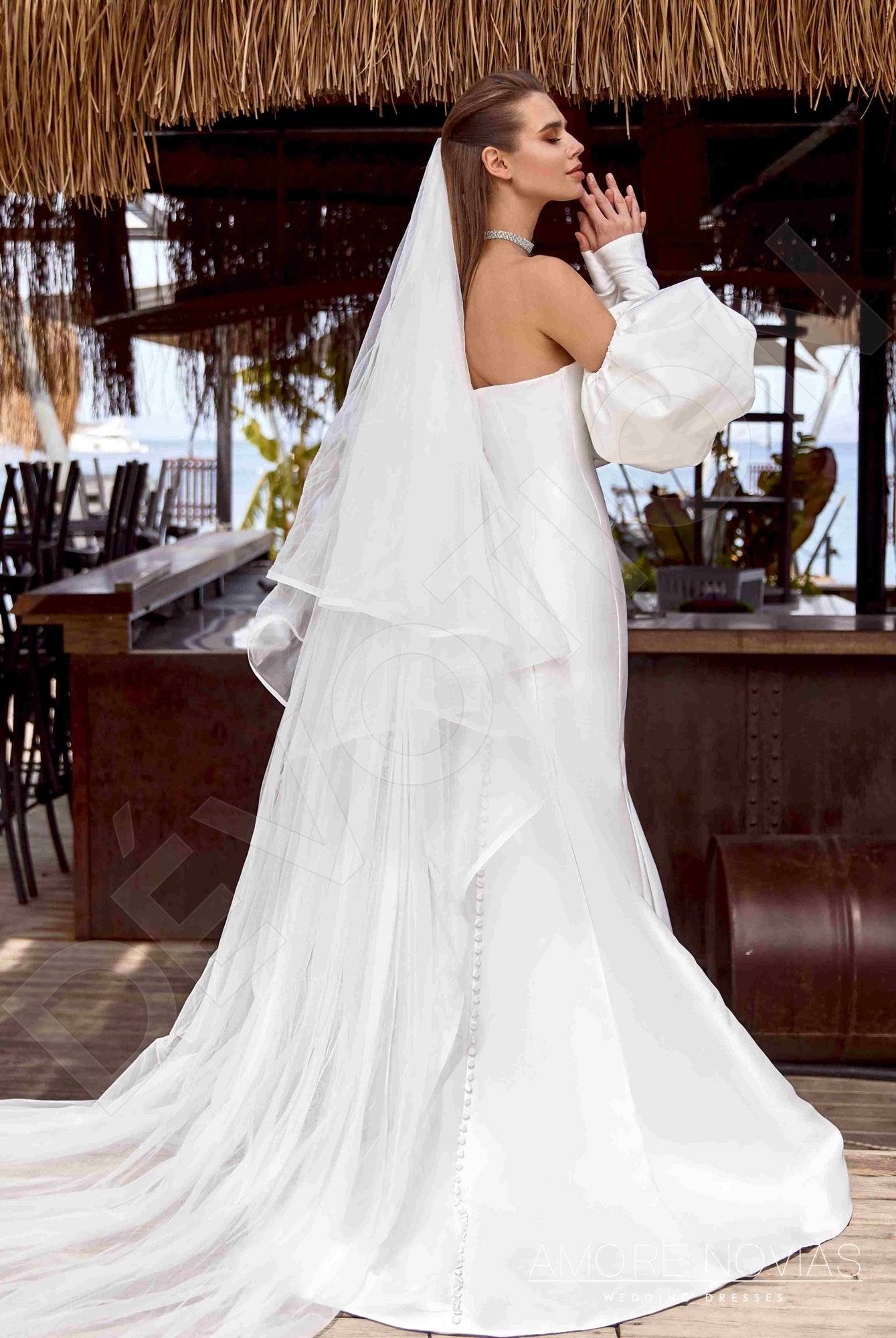 Steph Open back Trumpet/Mermaid Strapless Wedding Dress Back