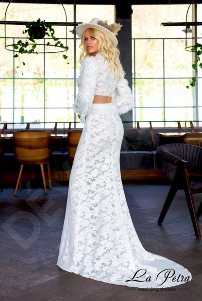 Sol Full back Trumpet/Mermaid Long sleeve Wedding Dress Back