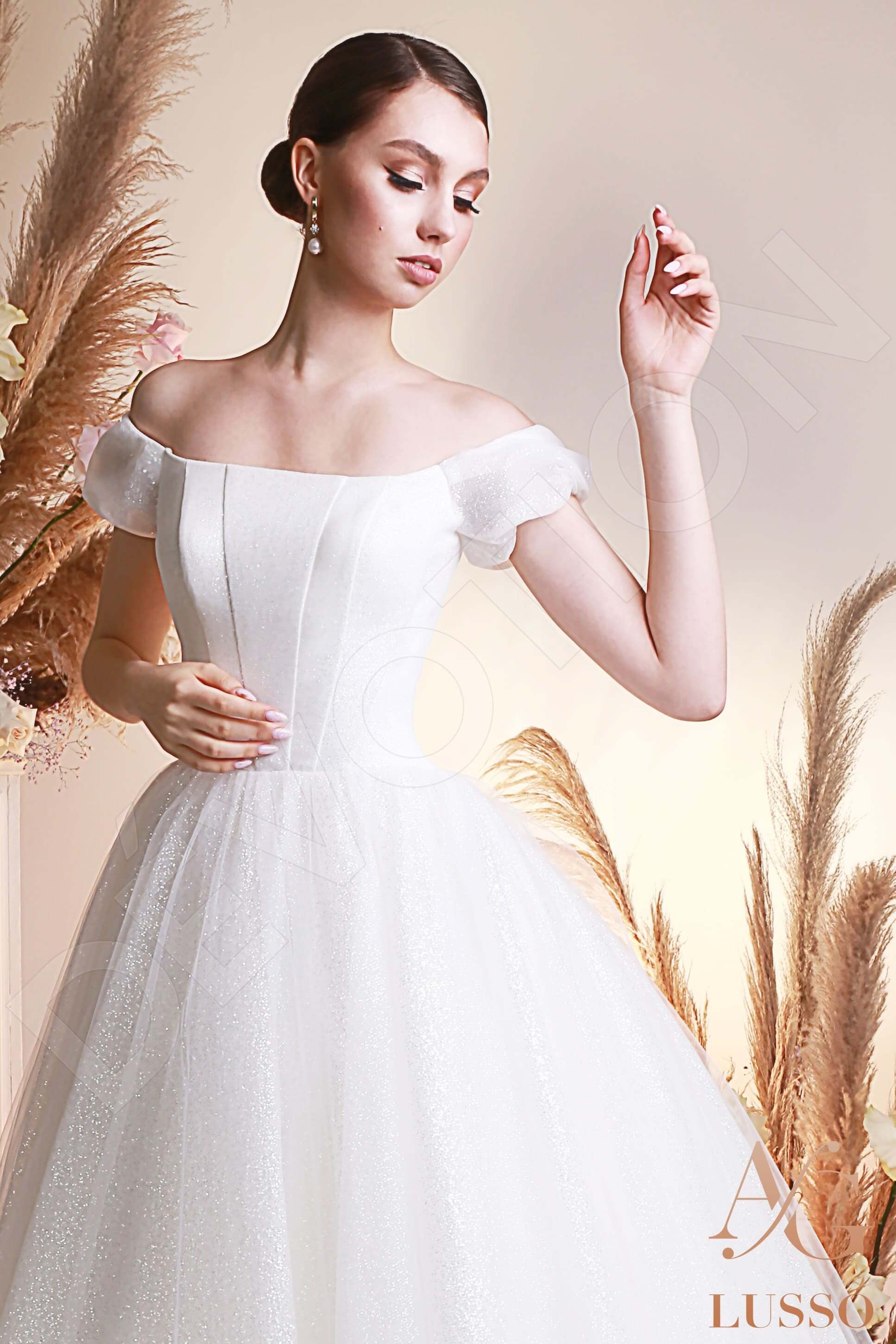 Saida Princess/Ball Gown Off-shoulder/Drop shoulders Lightivory Wedding dress